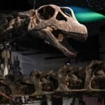 Thailand’s ‘Jurassic Park’ aims to bring in tourists
