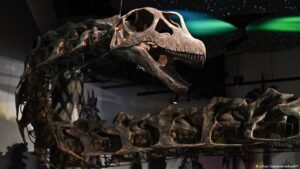 Thailand’s ‘Jurassic Park’ aims to bring in tourists