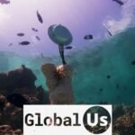 How art could bring dead coral reefs back to life