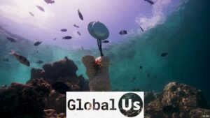 How art could bring dead coral reefs back to life