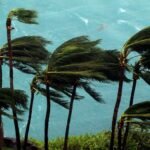 Why El Nino can fuel storms in one region and suppress them in others