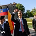 Liechtenstein MPs vote to legalise abortion despite threat of veto