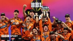 Big Bash League: Cricket Australia to privatise T20 tournament