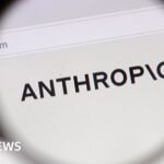Anthropic blocks ‘malicious use’ of AI that could develop biological weapons