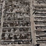 Syria begins destroying Assad-era chemical weapons