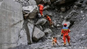 Tibet death toll from Himalayas flood now 43 with 519 missing: Chinese media