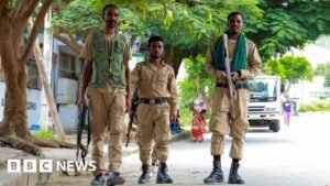 Ethiopia fighting: Are Tigray’s TPLF forces and the army heading back to war?
