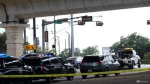 ICE agent wounds man in Austin, Texas, shooting: Officials