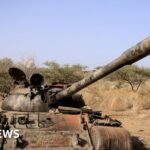 Ethiopia conflict: Seven armed groups form alliance against Abiy Ahmed