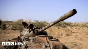 Ethiopia conflict: Seven armed groups form alliance against Abiy Ahmed