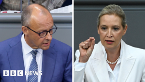 Germany’s Merz attacks AfD in parliament after far-right election win