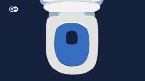 Flushed away: The fertilizer hidden in human pee and poop