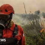 Indonesia fires: Toxic haze spreads across South East Asia amid ‘super’ El Niño