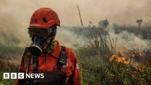 Indonesia fires: Toxic haze spreads across South East Asia amid ‘super’ El Niño