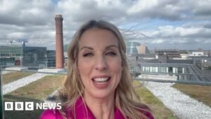 Trump calls for unified Ireland, BBC correspondent explains