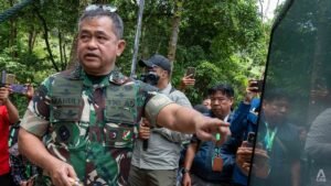 ‘We simply want to help people’: Indonesia army chief on why it is building thousands of bridges, wells