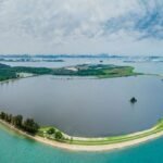 Singapore to map coastal, marine habitat changes, including western islands in proposed merger plan
