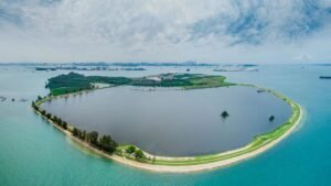 Singapore to map coastal, marine habitat changes, including western islands in proposed merger plan