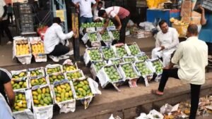 As the climate changes, South Asia’s farmers rethink how – and what – they grow
