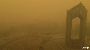 Four killed fighting wildfires in Indonesian national park