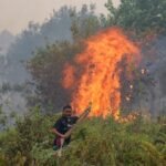 Singapore to issue haze prevention notices to three more firms in Indonesia over Kalimantan fires