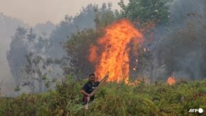 Singapore to issue haze prevention notices to three more firms in Indonesia over Kalimantan fires