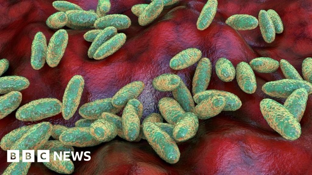 What is pneumonic plague and how does it spread?