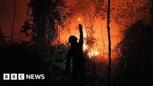 Haze: Who’s to blame for the toxic smog choking South East Asia?