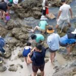 Greenpeace catches Hong Kong geopark ‘golden week’ visitors damaging marine life