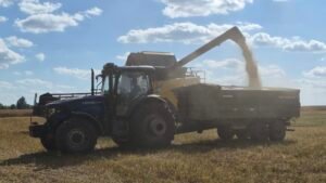 The world needs Ukraine’s grain. Its farmers are running out of reasons to plant