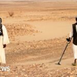 Dozens of gold prospectors killed in strikes on Egypt-Sudan border, rights group says