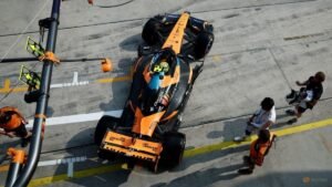Qatar and Abu Dhabi Grand Prix to go ahead: F1 boss