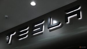 Musk welcomes German backing for Tesla driver assistance tech as group chases EU approval