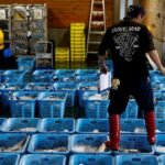Japan’s wholesale inflation remains elevated, keeps alive BOJ rate-hike view