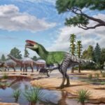 Isle of Wight fossil sheds light on enigmatic meat-eating dinosaurs