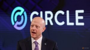 Stablecoin issuer Circle to push into 40 new markets, CEO says