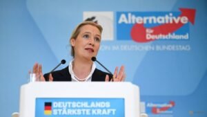 Germany’s far-right AfD investigates publication of emails stolen in cyberattack