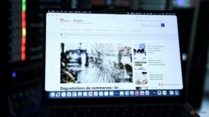 Explainer-What is PHP and why did it take government websites offline?