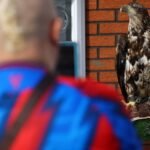 PETA urges Crystal Palace to retire bald eagle mascot Phoenix