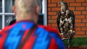 PETA urges Crystal Palace to retire bald eagle mascot Phoenix