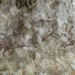 The world’s oldest cave paintings in Indonesia under threat of wildfires