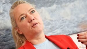 Denmark’s digital reliance leaves it exposed to cyberattacks, minister says