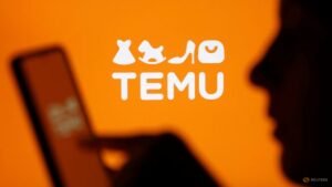 EU accepts Temu plan to remedy Digital Services Act breach