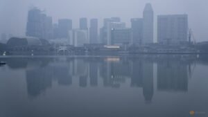 Haze probe: Five Singapore-registered companies agree to engage assessors