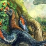 Strange beaked ‘hell chicken’ is the first fruit-eating dinosaur