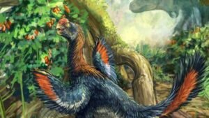 Strange beaked ‘hell chicken’ is the first fruit-eating dinosaur