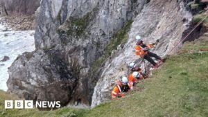 Dramatic clifftop rescue of bride and groom-to-be