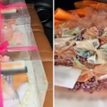 Birthday cakes, money bouquet among undeclared goods found at Singapore checkpoints