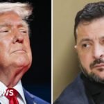 ‘Time for Ukraine to get new president,’ says Trump after Zelensky condemns diesel deal