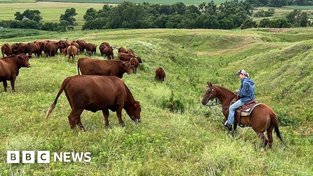 US ranchers wrestle with soaring costs – and their loyalty to Trump